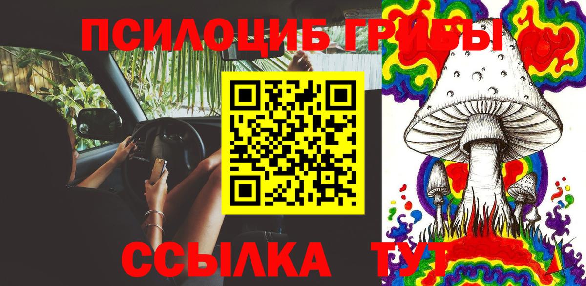 Елизово  Галлюциногенные грибы Magic Shrooms  Вход с VPN 